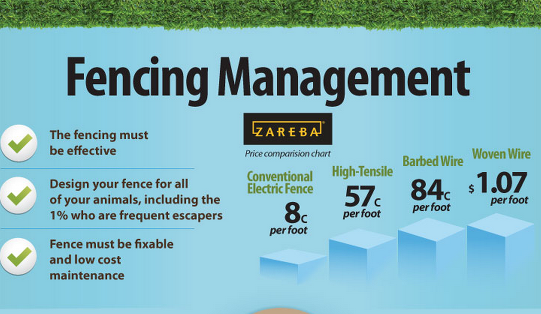 Fencing Management Infographic